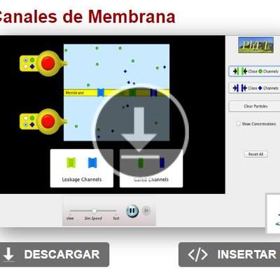 Canales de Membrana Canales de Membrana