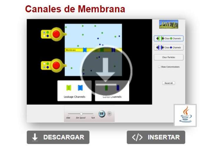 Canales de Membrana Canales de Membrana