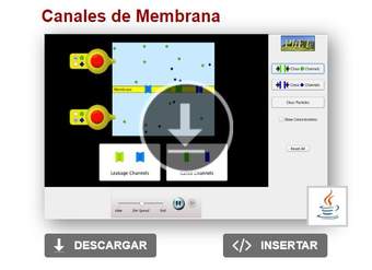 Canales de Membrana Canales de Membrana