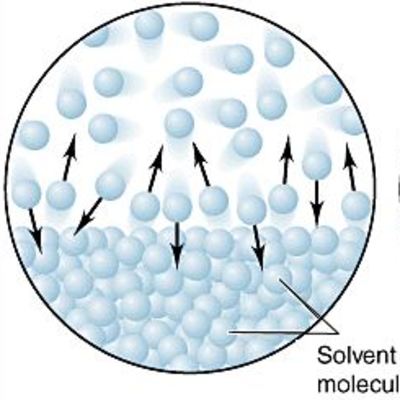 Cuatro propiedades coligativas de las soluciones Cuatro propiedades coligativas de las soluciones