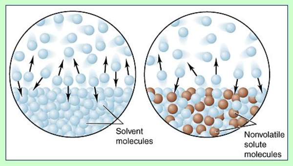 Cuatro propiedades coligativas de las soluciones Cuatro propiedades coligativas de las soluciones