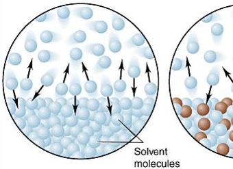 Cuatro propiedades coligativas de las soluciones Cuatro propiedades coligativas de las soluciones