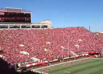 Vídeo: Ola humana en estadio 1 Vídeo: Ola humana en estadio 1