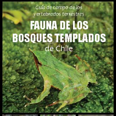 Guía de campo de los vertebrados terrestres. Fauna de los bosques templados de Chile Guía de campo de los vertebrados terrestres. Fauna de los bosques templados de Chile