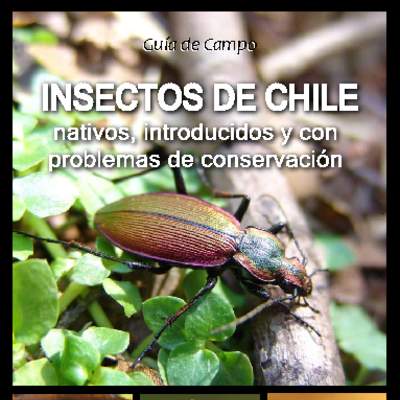 Guía de campo Insectos de Chile - Nativos, introducidos y con problemas de conservación. Guía de campo Insectos de Chile - Nativos, introducidos y con problemas de conservación.