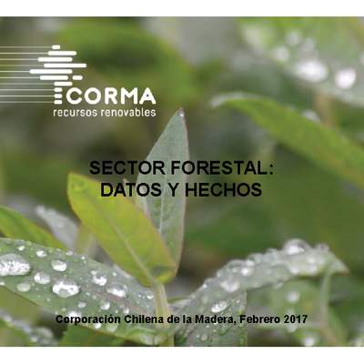 Sector forestal datos y hechos Sector forestal datos y hechos
