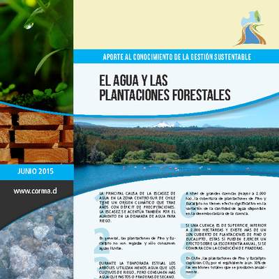 El agua y las plantaciones forestales El agua y las plantaciones forestales