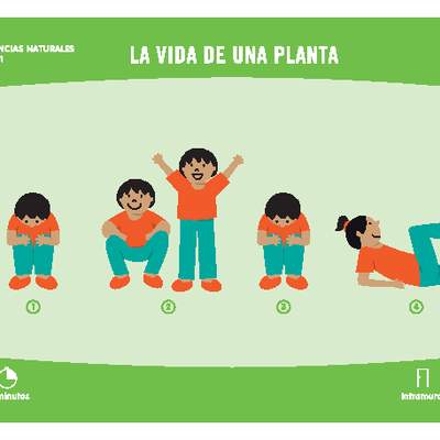 La vida de una planta La vida de una planta