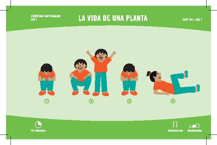 La vida de una planta La vida de una planta