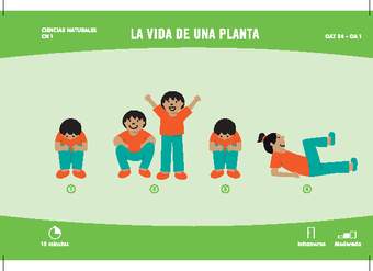 La vida de una planta La vida de una planta