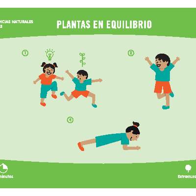 Plantas en equilibrio Plantas en equilibrio