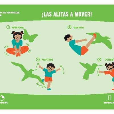 ¡Las alitas a mover! ¡Las alitas a mover!