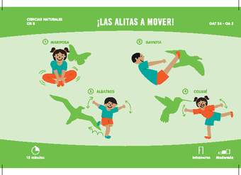 ¡Las alitas a mover! ¡Las alitas a mover!