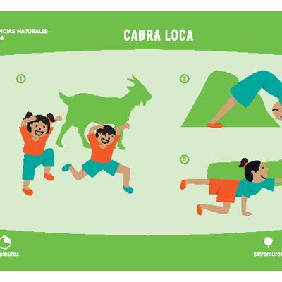 Cabra loca Cabra loca