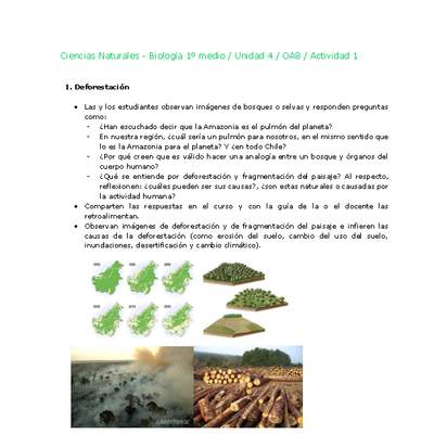 Ciencias Naturales 1 medio-Unidad 4-OA8-Actividad 1 Ciencias Naturales 1 medio-Unidad 4-OA8-Actividad 1