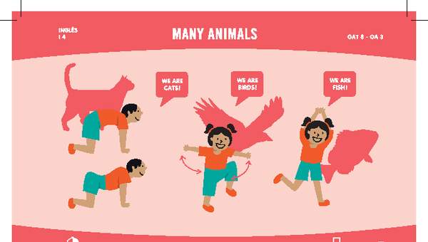 Many animals Many animals