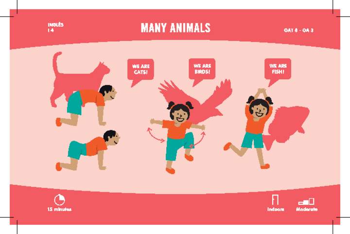 Many animals Many animals