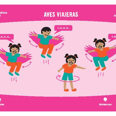 Aves viajeras Aves viajeras