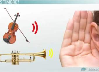 Timbre de los instrumentos Timbre de los instrumentos