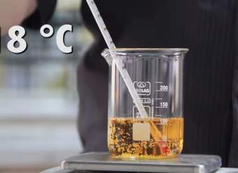 Efecto de la Temperatura en la Solubilidad de los Gases Efecto de la Temperatura en la Solubilidad de los Gases