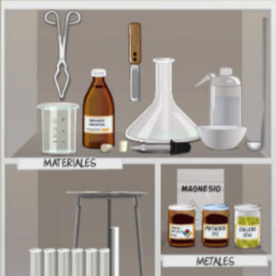 Actividad 1. ¿Por qué es importante tener nombres? Actividad 1. ¿Por qué es importante tener nombres?