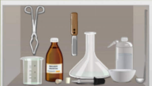 Actividad 1. ¿Por qué es importante tener nombres? Actividad 1. ¿Por qué es importante tener nombres?