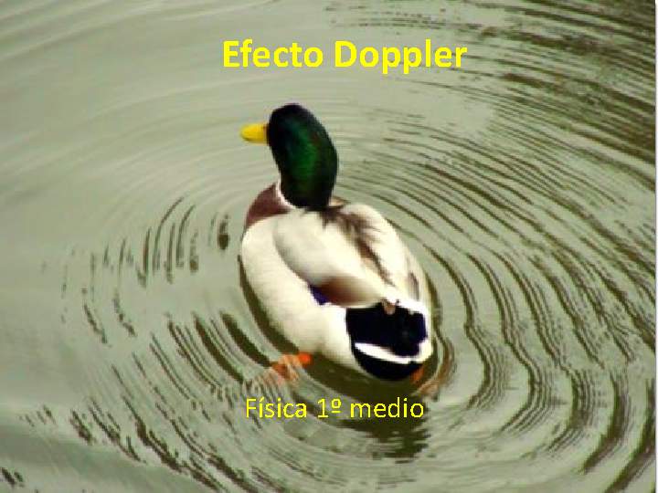 Presentación Efecto Doppler Presentación Efecto Doppler