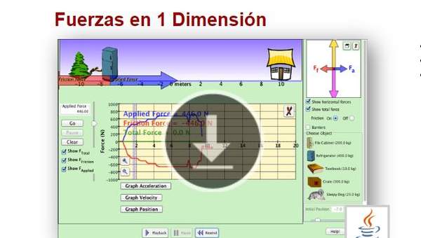 Fuerzas en 1 Dimensión Fuerzas en 1 Dimensión
