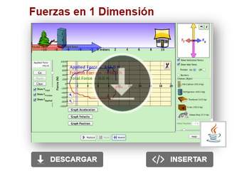 Fuerzas en 1 Dimensión Fuerzas en 1 Dimensión