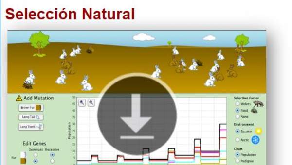 Selección Natural Selección Natural