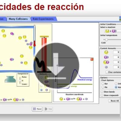Velocidades de reacción Velocidades de reacción