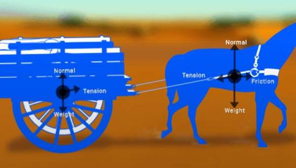 Horse-and-cart Horse-and-cart