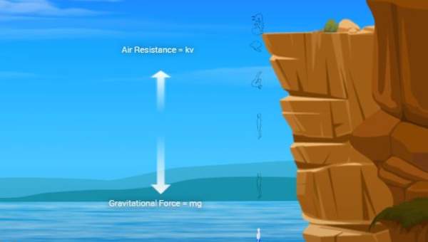 Cliff-diver Cliff-diver