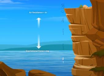 Cliff-diver Cliff-diver