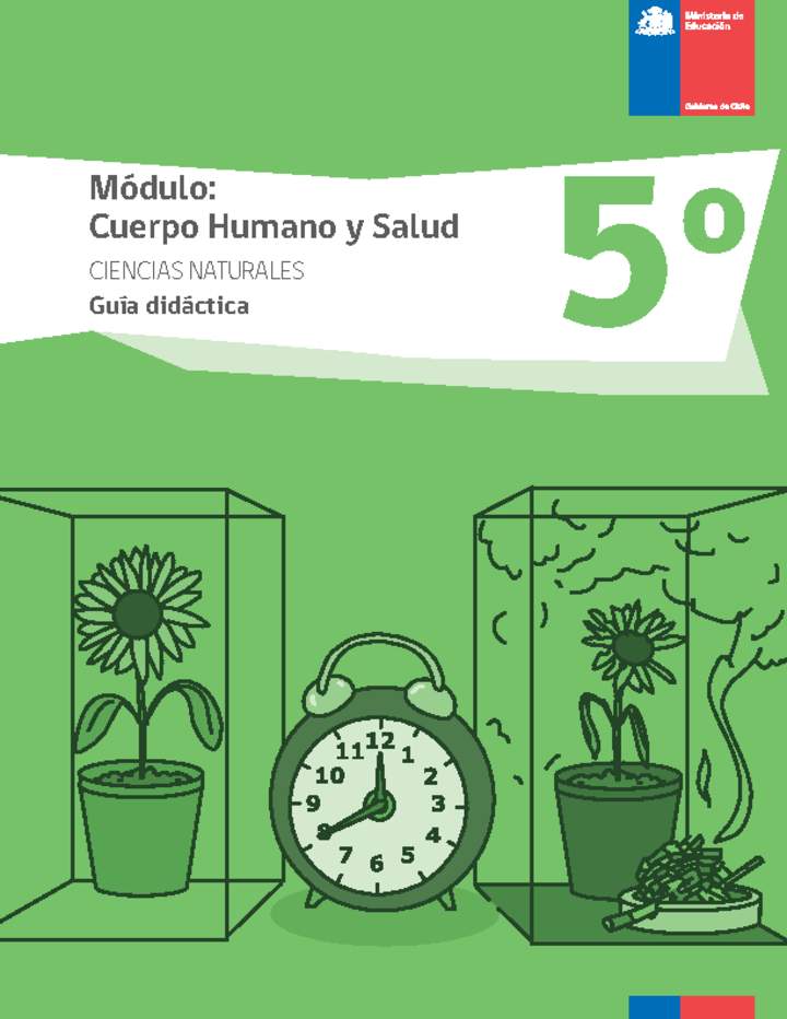 Guía didáctica: Cuerpo humano y salud, Ciencias Naturales 5° básico. Guía didáctica: Cuerpo humano y salud, Ciencias Naturales 5° básico.