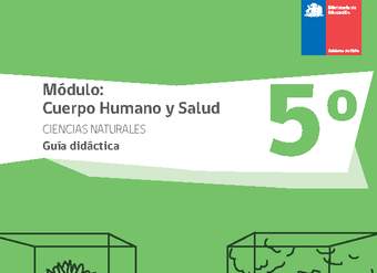 Guía didáctica: Cuerpo humano y salud, Ciencias Naturales 5° básico. Guía didáctica: Cuerpo humano y salud, Ciencias Naturales 5° básico.