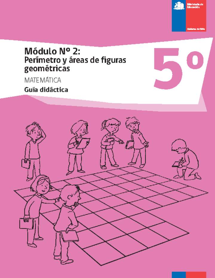 Guía didáctica: Módulo Nº 2. Perímetro y áreas de figuras geométricas Guía didáctica: Módulo Nº 2. Perímetro y áreas de figuras geométricas