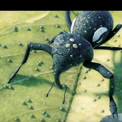 Control biológico agrícola Control biológico agrícola