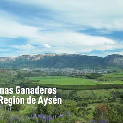 Sistemas ganaderos en la región de Aysén Sistemas ganaderos en la región de Aysén