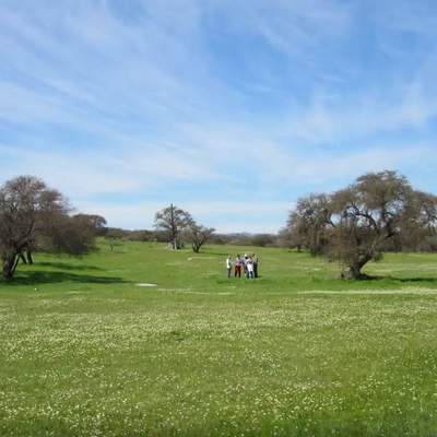El Espinal de Chile Central El Espinal de Chile Central