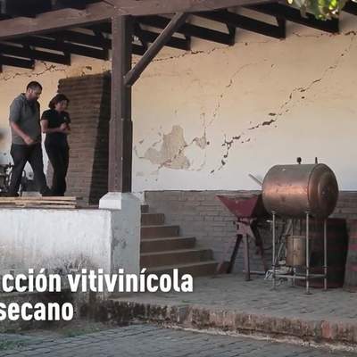 Producción vitivinícola en el secano Producción vitivinícola en el secano