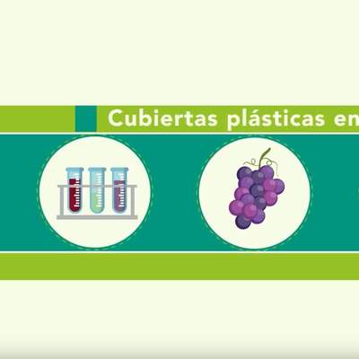 Tecnología de las cubiertas plásticas en vides Tecnología de las cubiertas plásticas en vides
