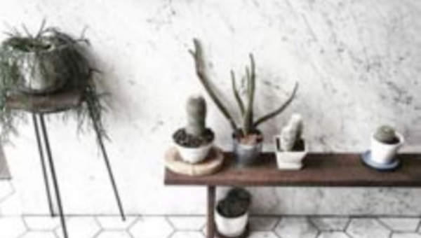 Actividad 3 Actividad 3