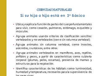 Si tu hija o hijo está en 2° Básico