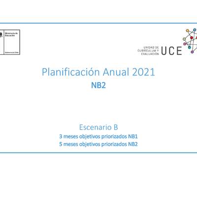 Planificación Anual 2021 Primer Nivel Básico 2 EPJA - PDF