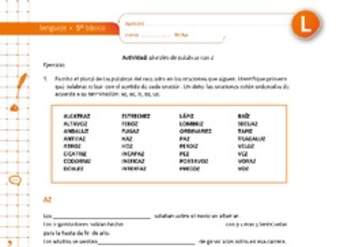 Plurales de palabras con Z