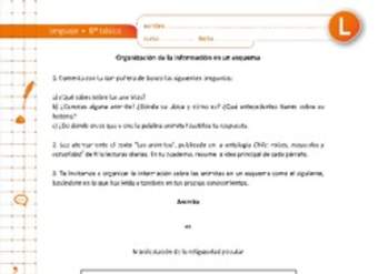 Organización de la información en un esquema