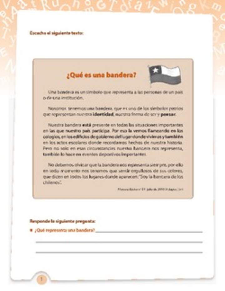 Texto informativo ¿Qué es una bandera?