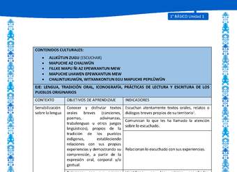 Actividad sugerida: LC01 - Mapuche - Matriz - U1