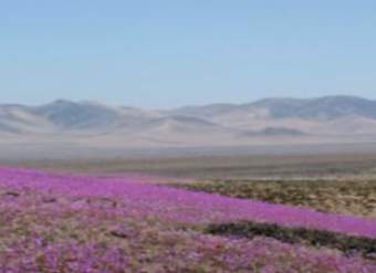 Video de recurso sugerido: LC02 - Colla - U1 - N°3: Rescatan y crean relatos del pueblo colla.